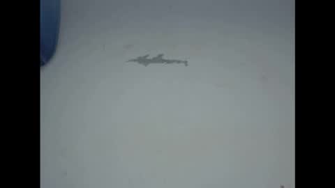 Snapshot of cornxcunt chatting on February 2026 11:29:01 AM cornxcunt online show from February 2026 11:29:01 AM