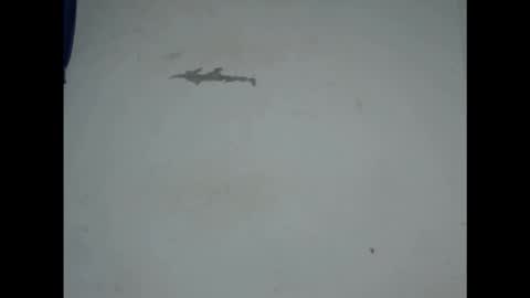 Snapshot of cornxcunt chatting on February 2026 09:44:02 PM cornxcunt online show from February 2026 09:44:02 PM