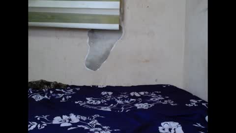 cornxslut online show from September 2025 07:03:01 PM