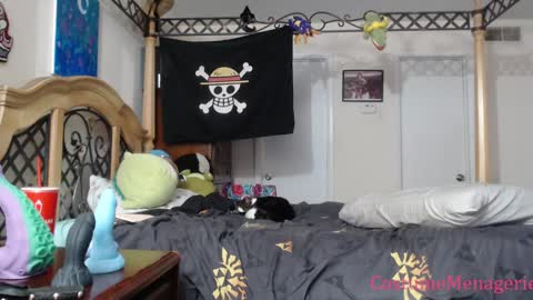 Snapshot of costumemenagerie chatting on January 2025 12:20:02 AM Amethyst Cox online show from January 2025 12:20:02 AM
