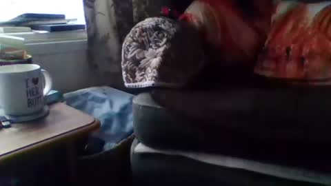 Snapshot of courieral1 chatting on February 2025 08:00:02 AM courieral1 online show from February 2025 08:00:02 AM