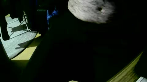 coyote017 online show from October 2025 06:18:02 PM