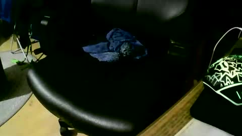 coyote017 online show from November 2025 09:31:01 PM