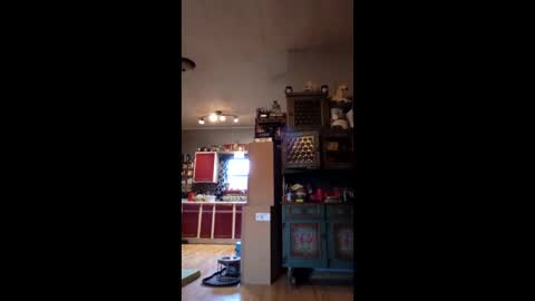 craig232301327629 online show from January 2026 01:36:01 PM