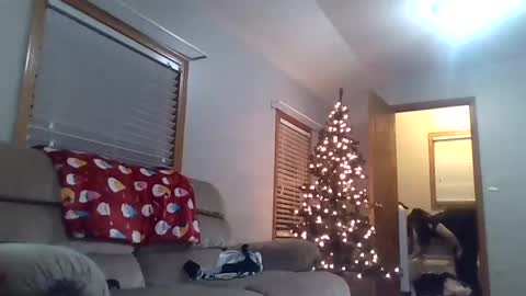 Snapshot of craveitoften chatting on December 2024 01:40:02 AM craveitoften online show from December 2024 01:40:02 AM