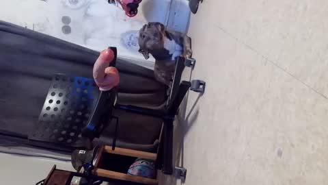 Snapshot of crazy4feetmanic chatting on October 2025 06:15:02 AM drbucknaked online show from October 2025 06:15:02 AM