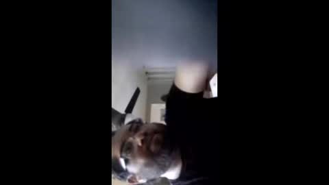 crazychubbyguy69 online show from February 2026 10:43:01 AM