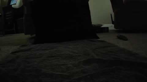 Snapshot of creature__cumfort chatting on June 2026 12:11:01 AM creature__cumfort online show from June 2026 12:11:01 AM