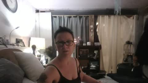 Tulip online show from December 2024 04:53:01 AM