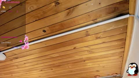 Cristal online show from February 2026 04:05:02 AM