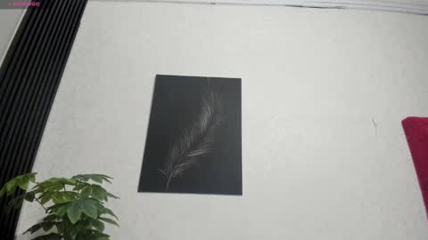 cristopher23  online show from February 2025 07:57:02 PM