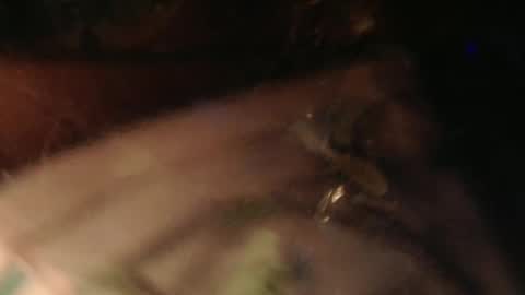 Snapshot of cryan78 chatting on February 2025 06:31:02 PM cryan96 online show from February 2025 06:31:02 PM