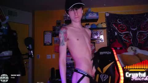 Snapshot of cryptidtwink chatting on February 2026 06:53:01 AM CryptidTwink online show from February 2026 06:53:01 AM