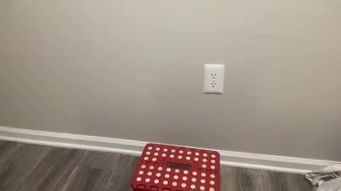 BlacTrojan OF online show from February 2026 08:47:01 PM