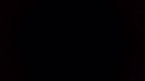 Breeding Bull USA online show from February 2026 09:36:01 AM