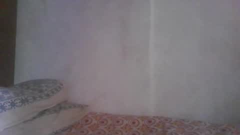 Noha online show from March 2026 06:41:02 AM