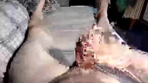 Paul online show from October 2025 10:47:02 AM