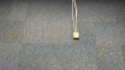 Brian online show from December 2025 07:01:02 PM