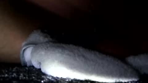 Aprilia online show from January 2025 11:10:01 AM