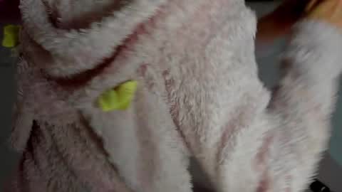 Antonia online show from November 2025 11:14:01 PM