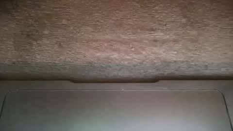 ALAN online show from November 2025 12:22:01 AM