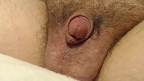 curve66 online show from December 2025 03:38:02 AM