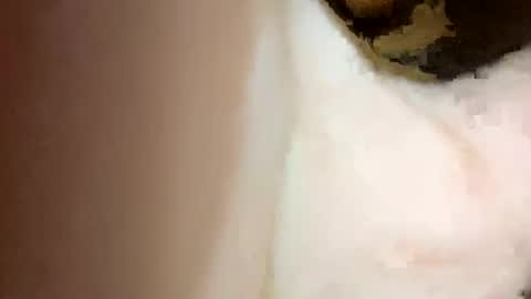 curvy24777 online show from February 2025 07:06:01 PM