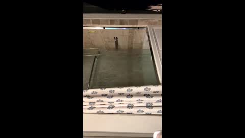 Snapshot of curvyd454066 chatting on September 2025 07:07:02 PM curvyd454066 online show from September 2025 07:07:02 PM