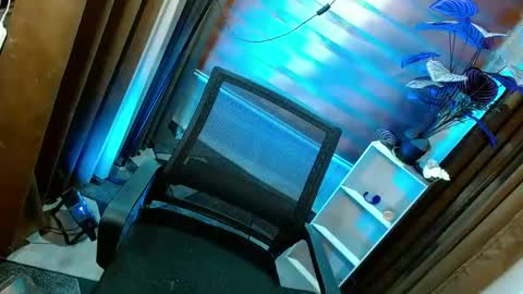 Snapshot of curybb_hanna19 chatting on May 2026 12:55:02 PM BBY CURLYHANNA online show from May 2026 12:55:02 PM