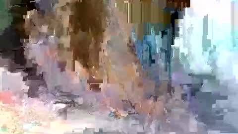 cute_savanna online show from March 2026 05:01:02 AM