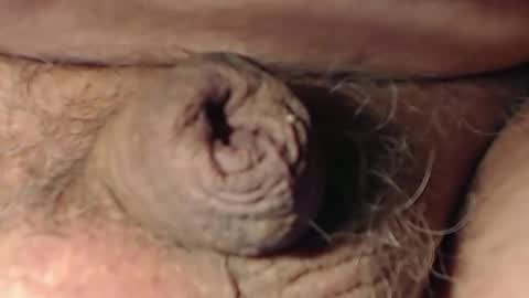 cute_stud1010 online show from February 2026 03:10:01 PM