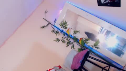 Snapshot of cute_ts_charlott chatting on December 2024 03:17:01 PM danny online show from December 2024 03:17:01 PM