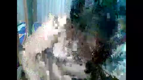Snapshot of cutechubbyasian chatting on April 2026 11:30:02 AM cutechubbyasian online show from April 2026 11:30:02 AM