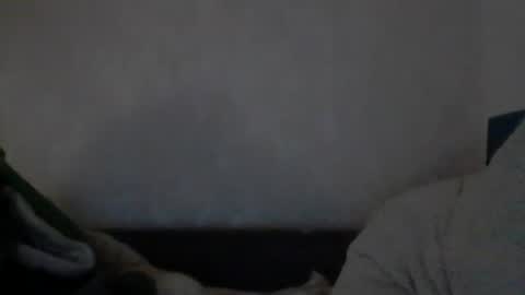 cutekattie online show from December 2024 08:00:02 AM