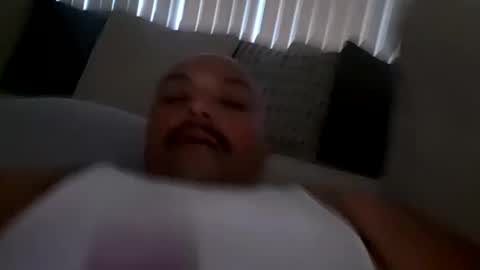 cvic2313 online show from January 2025 03:28:02 PM