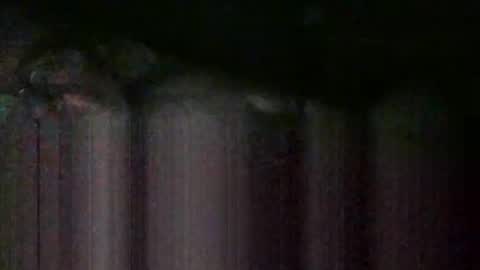 Snapshot of cwill27837 chatting on February 2026 02:34:02 AM cwill27837 online show from February 2026 02:34:02 AM