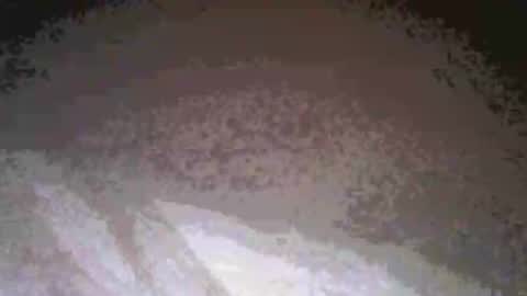 Snapshot of cwill27837 chatting on February 2026 03:38:02 AM cwill27837 online show from February 2026 03:38:02 AM