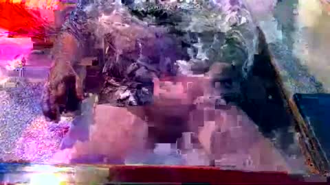 Snapshot of dabaatendae chatting on February 2025 10:17:02 PM dabaatendae online show from February 2025 10:17:02 PM