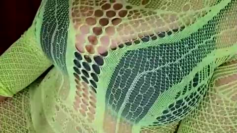 Daddett iS Wett online show from March 2026 08:15:01 AM