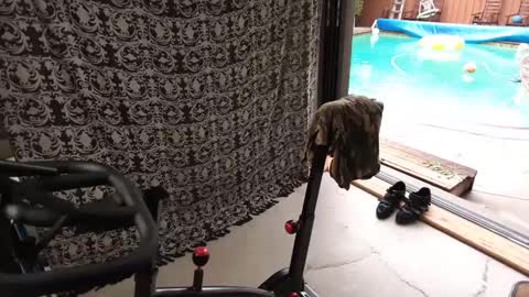 Snapshot of daddycache chatting on September 2025 04:34:01 PM bas online show from September 2025 04:34:01 PM