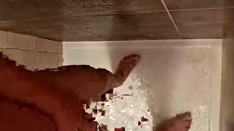 Snapshot of daddycoolm chatting on October 2025 07:10:02 AM LetsHaveFunTogether online show from October 2025 07:10:02 AM