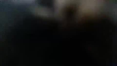 Snapshot of daddydick6969twin77 chatting on October 2025 01:59:01 AM DDick online show from October 2025 01:59:01 AM