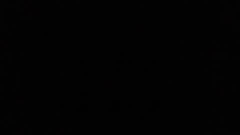 Ray Stevens Jr online show from December 2024 09:16:02 AM