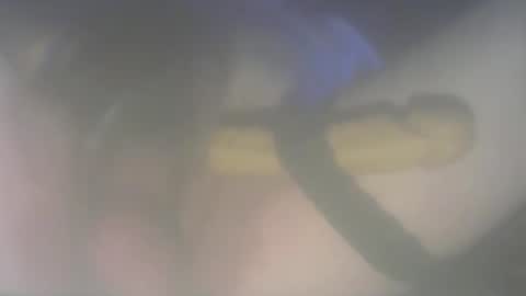 daddyslilcummwhore online show from November 2025 08:39:02 AM