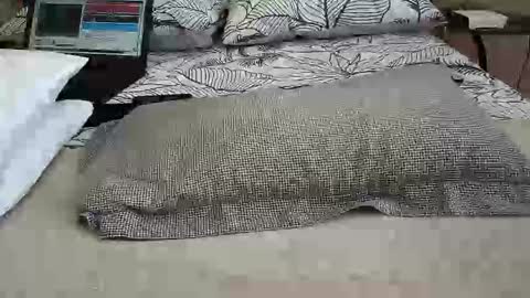 daddyslittleebony online show from April 2026 11:26:02 AM