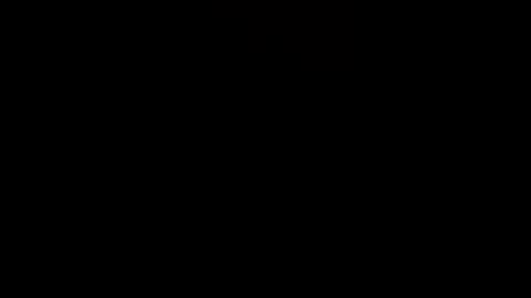 daddyznutrag online show from April 2026 12:41:01 AM