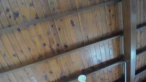 dafne_hillss online show from September 2025 02:00:01 PM