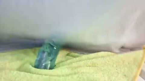 daileyrobert15 online show from May 2026 07:41:01 PM