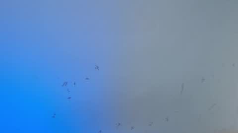 VALENTINA  online show from October 2025 08:03:01 AM