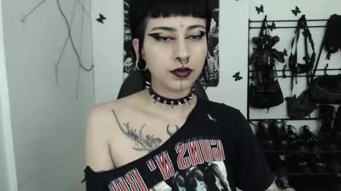 dakota online show from November 2025 04:22:01 AM